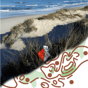 sand dunes packages